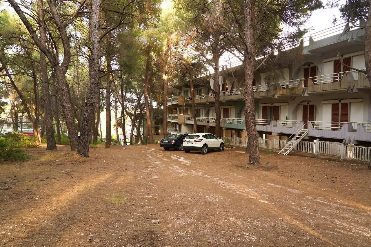 Metamorfosi Pine Forest View Apartment Greece